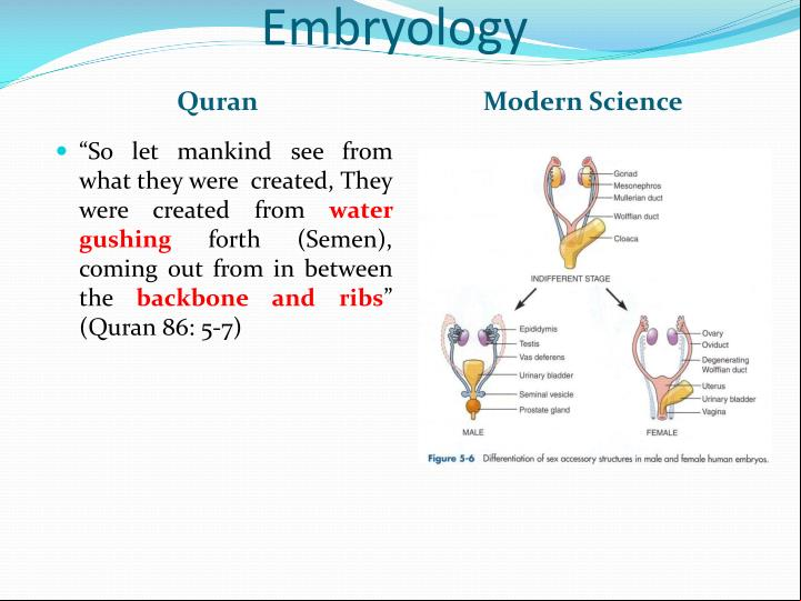 from spine sperm Koran the