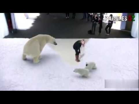 animation japan 7d in